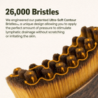Lymphatic Contour Face Brush